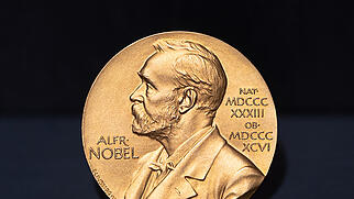 ARCHIV - Die diesjährige Nobelpreis-Woche begann am Montag mit der Bekanntgabe des Preisträgers in der Kategorie Medizin. Foto: Daniel Reinhardt/dpa